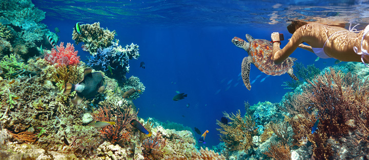 Snorkeling Adventure