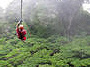 Zip Tour
