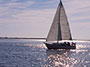 Royal Lahaina Romantic Honeymoon Sunset Dinner Cruise